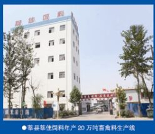 Xin Jia 300,000 tons of feed livestock and poultry feed line